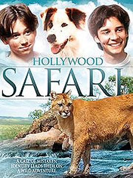 Hollywood Safari